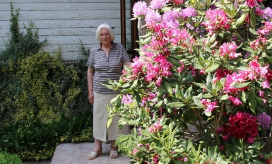 śp. Krystyna Zacharzewska w swoim ogrodzie