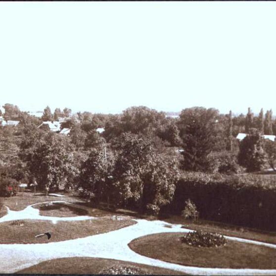 Park przy dworze Lutosławskich – historia i teraźniejszość