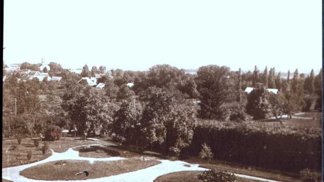 Park przy dworze Lutosławskich – historia i teraźniejszość