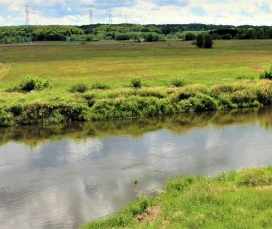 Trzy spojrzenia na Narew: reporterskie, literackie i poetyckie