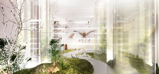 Pawilon przyrody – nowoczesna infrastruktura kultury