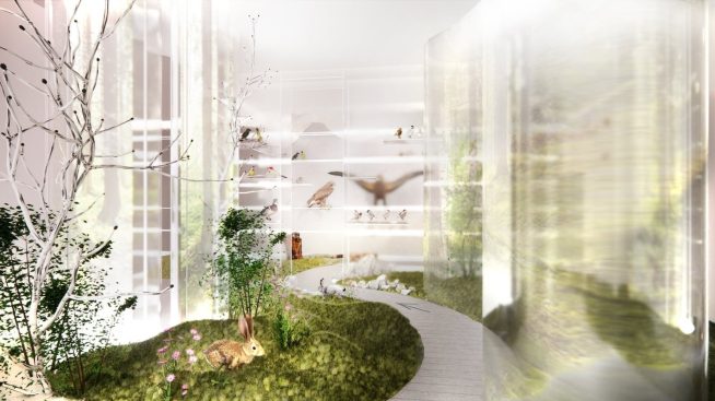 Pawilon przyrody – nowoczesna infrastruktura kultury